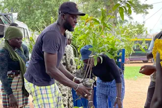 Omar delivering bamboo seedlings to families across Gambia.